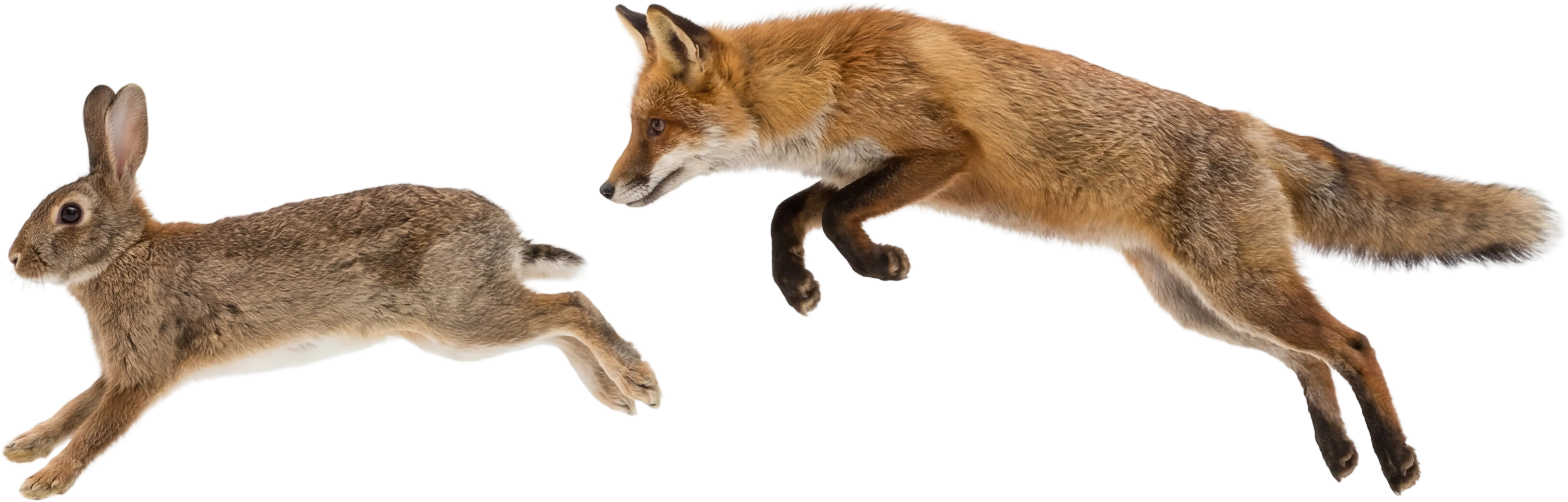 Instant Notifications